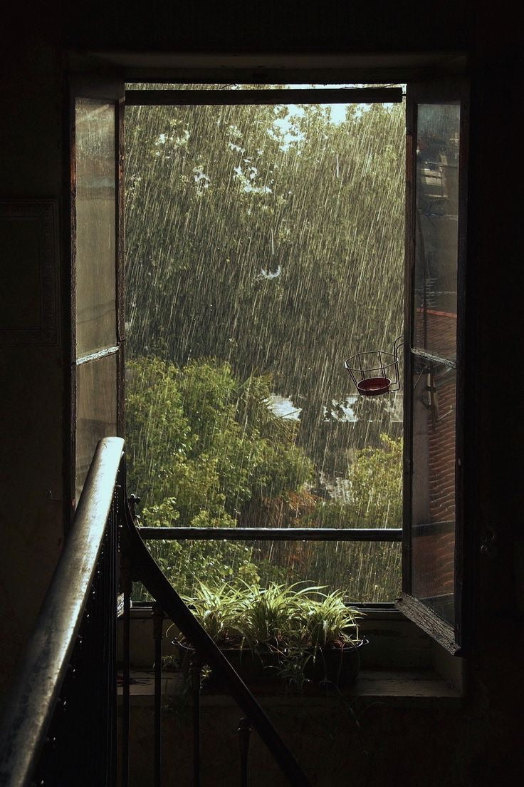 Benny Blossoms- Smell of first rain